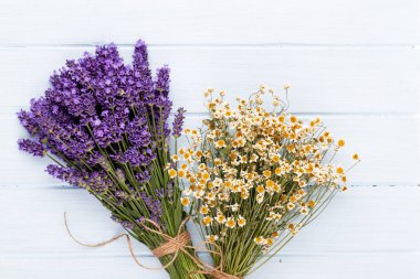 Beyaz arkaplanda lavanta çiçekleri.