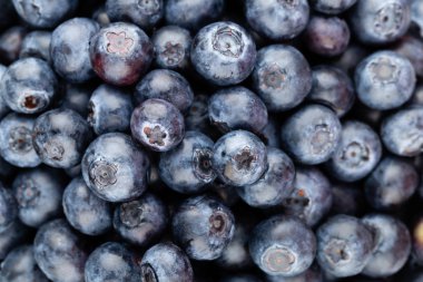 Taze yaban mersini arkaplanı. Doku yaban mersini yakından geliyor..