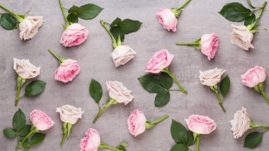 Çiçekler sevgililer günü kompozisyonu. GR üzerindeki pembe gülden yapılmış çerçeve