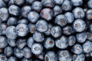 Taze yaban mersini arkaplanı. Doku yaban mersini yakından geliyor..