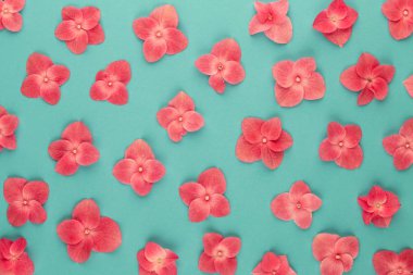 İlkbahar çiçekli tebrik kartı şablonu.