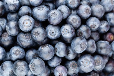 Taze yaban mersini arkaplanı. Doku yaban mersini yakından geliyor..