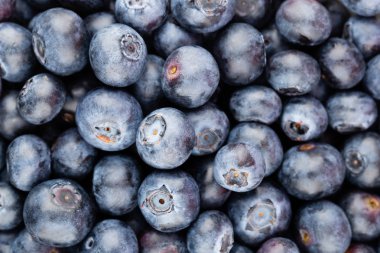 Taze yaban mersini arkaplanı. Doku yaban mersini yakından geliyor..