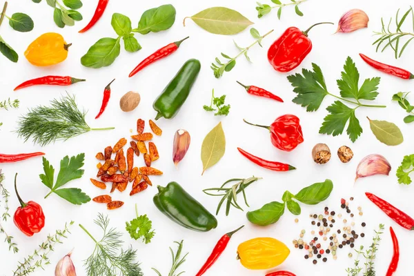 Przyprawy ziołowe liście i pieprz chili na białym tle. Wegeta — Zdjęcie stockowe