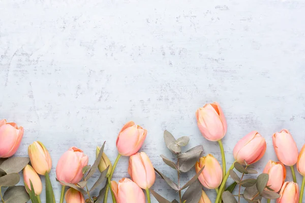 Розовый тюльпан на винтажном деревянном фоне. Поздравление с Днем матери — стоковое фото