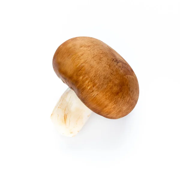 Fresh champignon mushrooms isolated on white. — Stock Photo, Image