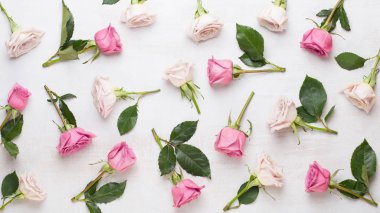 Çiçekler sevgililer günü kompozisyonu. GR üzerindeki pembe gülden yapılmış çerçeve