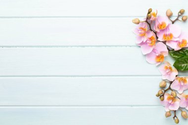 Klasik arka planda orkide çiçekleri. Spa arka planı, spa