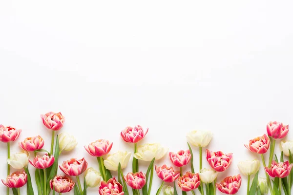 봄의 꽃들은 파스텔 색 배경에 튤립 빛을 띤다. 역 빈티지 — 스톡 사진