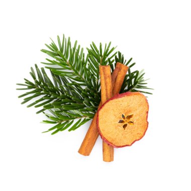 Beyaz arkaplanda çam kozalakları ve köknar ağacı dalı.