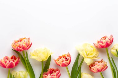 Bahar çiçekleri. Pastel renklerde laleler. Tebrik kartı Retro Vintage tarzı. Anneler günü, Paskalya tebrik kartı..