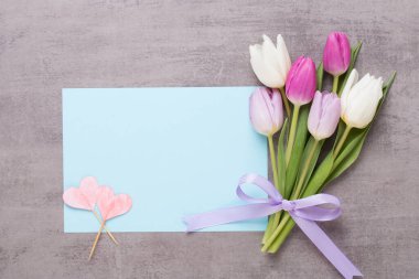 Bahar çiçekleri, tebrik kartları, gri arka planda pastel renkli laleler..