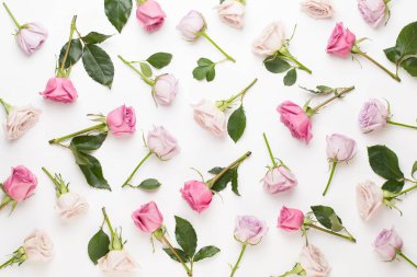 Beyaz arka planda pembe ve bej güllerden yapılmış çiçek deseni. Düz yerde, üst tarafta. Sevgililer Günü geçmişi