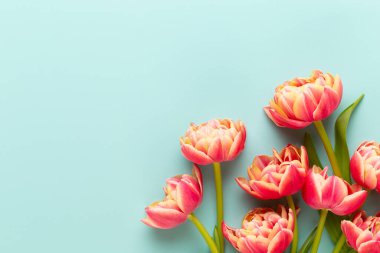 Bahar çiçekleri. Pastel renklerde laleler. Tebrik kartı Retro Vintage tarzı. Anneler günü, Paskalya tebrik kartı..