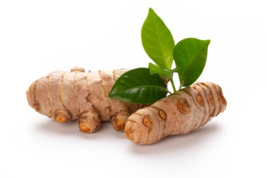 Zerdeçal, Curcuma longa Linn, rizom beyaz arkaplanda izole.
