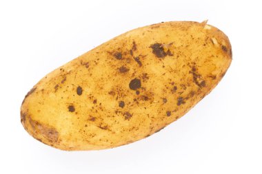 Beyaz arka planda izole edilmiş yeni patates. Yakın plan..