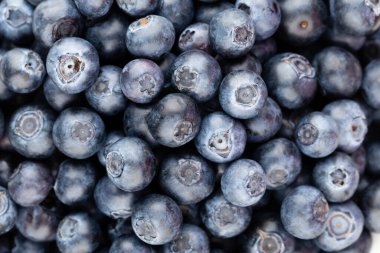 Metnin için fotokopi alanı olan taze yabanmersini arkaplanı. Sınır tasarımı. Vejetaryen ve vejetaryen kavramı. Yaban mersinli makarnanın dokusu. Yaz sağlıklı yemekleri. Pankart.