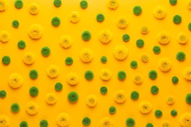 Sarı arka planda sarı çiçek deseni. Gerbera bahar çiçekleri canlı bir arkaplanda düzenlenmiştir. Üst Manzara. Düz yatıyordu. Sevgililer Günü geçmişi. Çiçek deseni. Yaz, bahar, Anneler Günü, 8 Mart