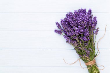 Lavanta çiçekleri beyaz arkaplanda izole edilmiş..