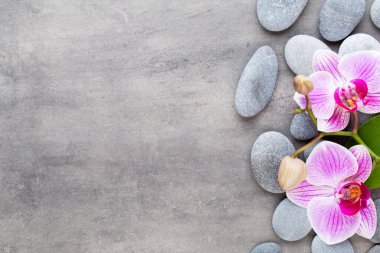 Taş zeminde orkide ve spa taşları. Spa ve sağlık manzarası.