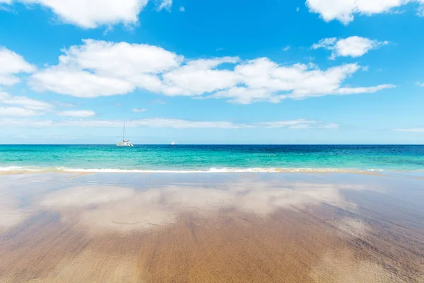 Panorama Pantai Yang Indah Dan Laut Tropis Lanzarote Burung Kenari — Stok Foto