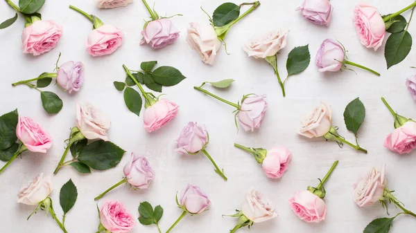 Beyaz arka planda pembe ve bej güllerden yapılmış çiçek deseni. Düz yerde, üst tarafta. Sevgililer Günü geçmişi