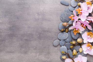 Spa aromaterapi arka planı, basit orkide çiçekleriyle süslenmiş çeşitli güzellik ürünleri..