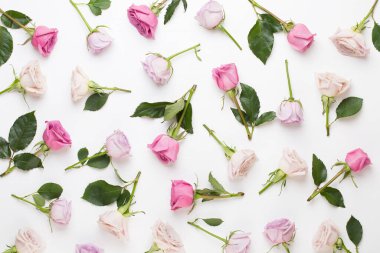 Beyaz arka planda pembe ve bej güllerden yapılmış çiçek deseni. Düz yerde, üst tarafta. Sevgililer Günü geçmişi