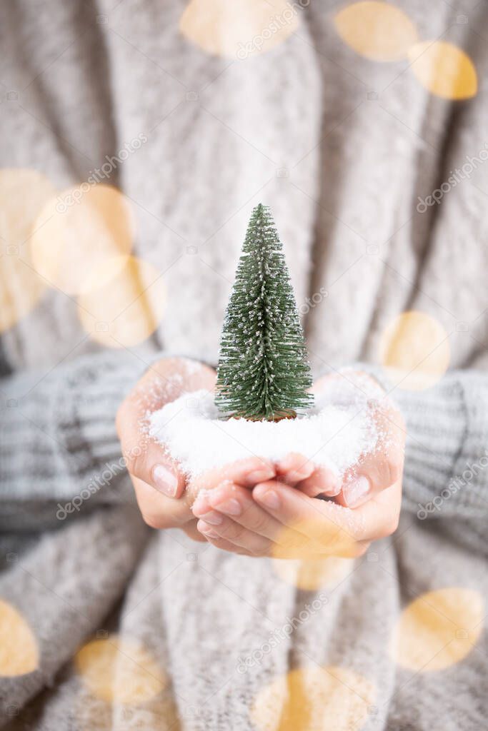 Winter Concept Young Hands Holding christmas decor.  Christmas decoration idea. Christmas decor in the hands of a woman, background with gold bokeh.