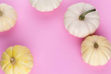 Creative Top view düz sonbahar kompozisyonu. Kabak kabaklarından yapılmış çerçeve renkli kağıt arkaplan kopyalama alanı. Şablon güz hasadı Şükran Günü Cadılar Bayramı davetiye kartları.