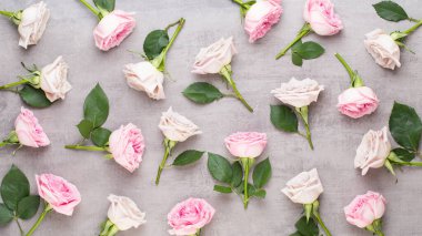 Beyaz arka planda pembe ve bej güllerden yapılmış çiçek deseni. Düz yerde, üst tarafta. Sevgililer Günü geçmişi