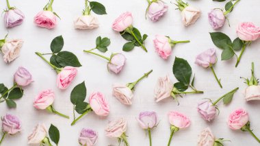 Beyaz arka planda pembe ve bej güllerden yapılmış çiçek deseni. Düz yerde, üst tarafta. Sevgililer Günü geçmişi