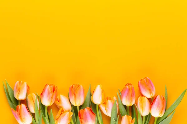 Żółte Pastele Kolor Kwiaty Żółtym Tle Czekając Wiosnę Wesołych Świąt — Zdjęcie stockowe