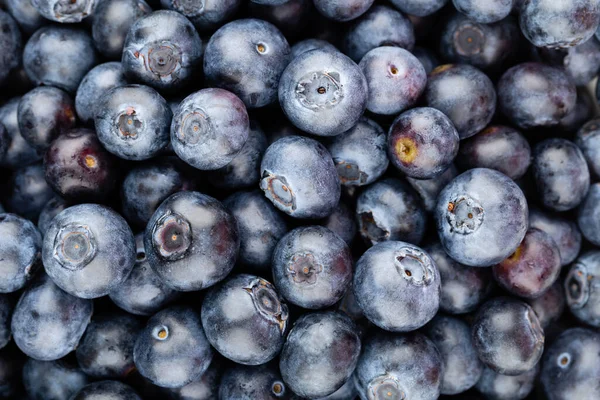 Fresh Blueberries Background Copy Space Your Text Border Design Vegan — Stock Photo, Image