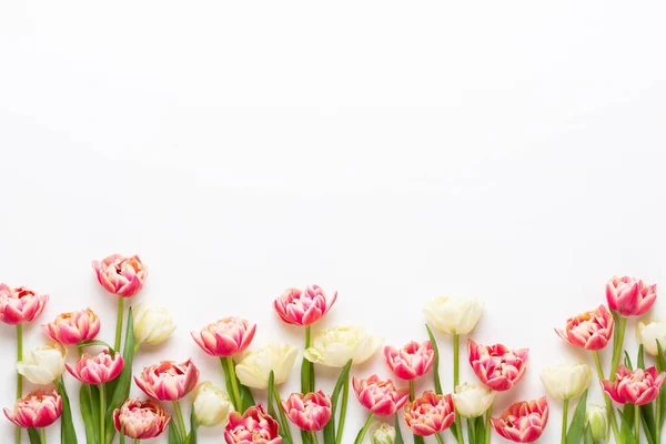 Spring Flowers Tulips Pastel Colors Background Greeting Card Retro Vintage — Stock Photo, Image