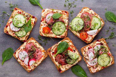 Krem peynirli, sebzeli ve salamlı sandviç. Salatalıklı sandviçler, turp, domates, gri arka planda salam, üst manzara. Düz yatıyordu.