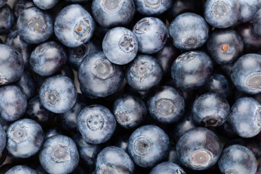 Metnin için fotokopi alanı olan taze yabanmersini arkaplanı. Sınır tasarımı. Vejetaryen ve vejetaryen kavramı. Yaban mersinli makarnanın dokusu. Yaz sağlıklı yemekleri. Pankart.