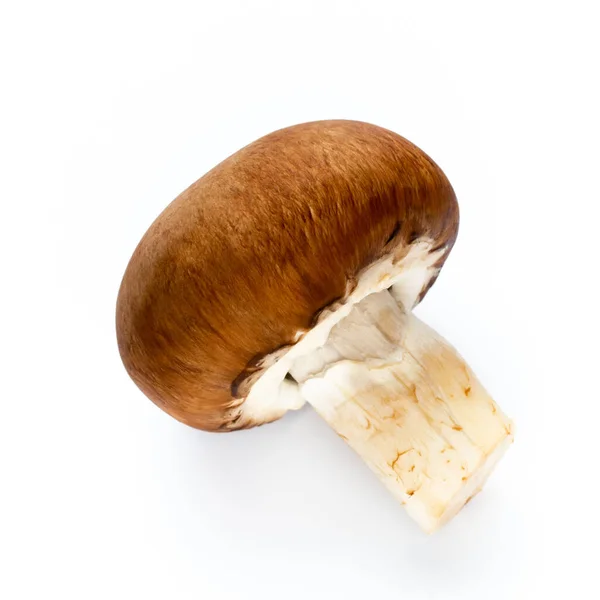 Fresh Champignon Mushrooms Isolated White — Stock Photo, Image
