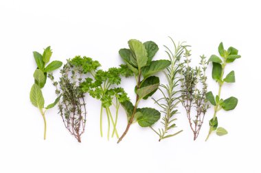 Beyaz arka planda izole edilmiş baharat bitkisi. Üst Manzara. Düz uzanma deseni.