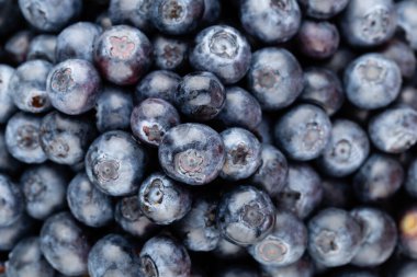 Metnin için fotokopi alanı olan taze yabanmersini arkaplanı. Sınır tasarımı. Vejetaryen ve vejetaryen kavramı. Yaban mersinli makarnanın dokusu. Yaz sağlıklı yemekleri. Pankart.