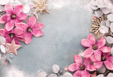 Klasik mavi arka planda güzel, pembe bir Noel çiçeği. Düz dizayn. Uzayı kopyala Yatay.