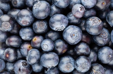 Metnin için fotokopi alanı olan taze yabanmersini arkaplanı. Sınır tasarımı. Vejetaryen ve vejetaryen kavramı. Yaban mersinli makarnanın dokusu. Yaz sağlıklı yemekleri. Pankart.