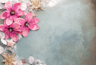 Klasik mavi arka planda güzel, pembe bir Noel çiçeği. Düz dizayn. Uzayı kopyala Yatay.