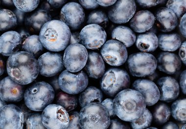 Metnin için fotokopi alanı olan taze yabanmersini arkaplanı. Sınır tasarımı. Vejetaryen ve vejetaryen kavramı. Yaban mersinli makarnanın dokusu. Yaz sağlıklı yemekleri. Pankart.