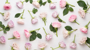 Beyaz arka planda pembe ve bej güllerden yapılmış çiçek deseni. Düz yerde, üst tarafta. Sevgililer Günü geçmişi