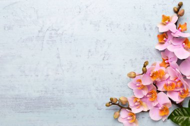 Spa aromaterapi arka planı, basit orkide çiçekleriyle süslenmiş çeşitli güzellik ürünleri..