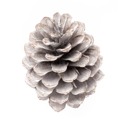 Beyaz bir arka planda Noel dekoru yakın plan. İzole edilmiş - Resim