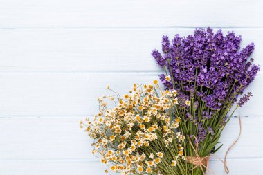 Lavanta çiçekleri beyaz arkaplanda izole edilmiş..