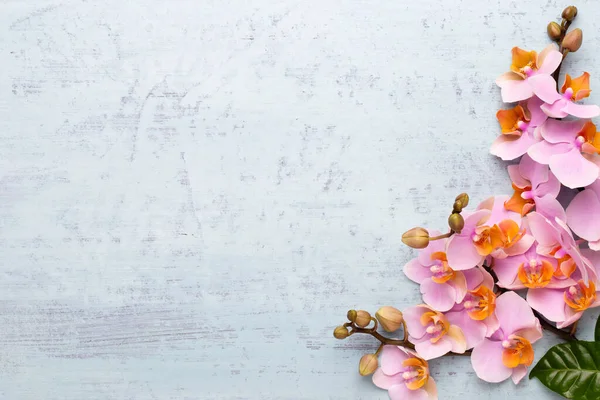 Spa aromaterapi arka planı, basit orkide çiçekleriyle süslenmiş çeşitli güzellik ürünleri..