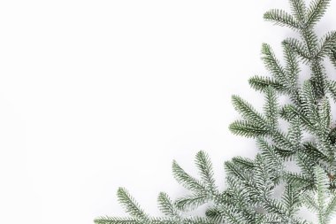 Beyaz zemin üzerinde köknar ağacı dalları Noel kompozisyonu.